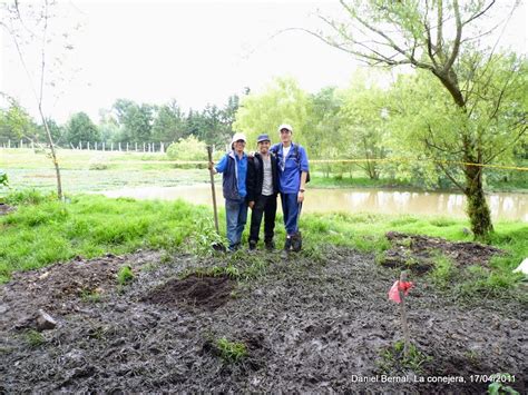 Jornada De Plantaci N De Rboles En El Humedal La Conejera Fundaci N