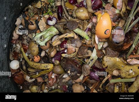 Bac De Recyclage Des Aliments Banque De Photographies Et Dimages à