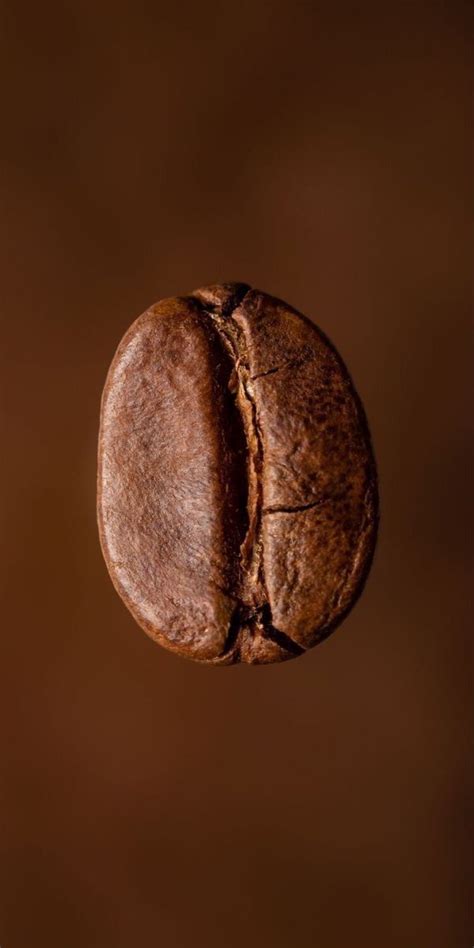 Types of kinds of coffee ☕️☕️ | Coffee beans photography, Coffee shop ...