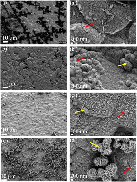 Sem Micrographs Of The Pd Thin Film Electroless Deposited For Various