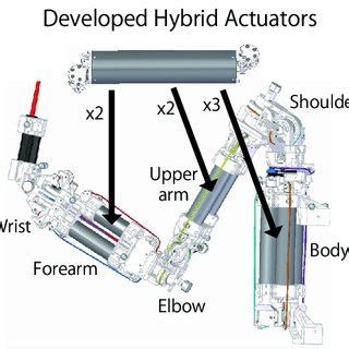 Proposed robot configuration using developed hybrid actuators ...