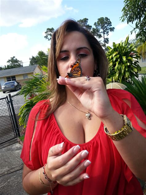 Memorial Butterfly Release Butterflies For Memorials