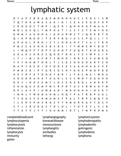 Lymphatic System Word Search Wordmint