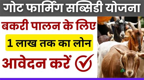 Goat Farming Loan Subsidy 2024 बकरी पालन के लिए मिलेगा ₹1 लाख तक का