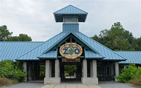 Baton Rouge Zoo Says Dogs Kill 3 Monkeys - Breaking911