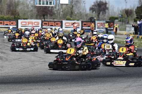 News Crg Rental Kart