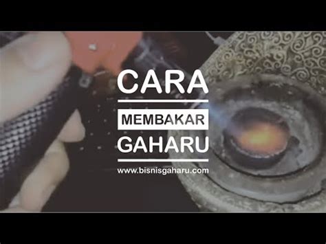 Cara Membakar Gaharu Youtube