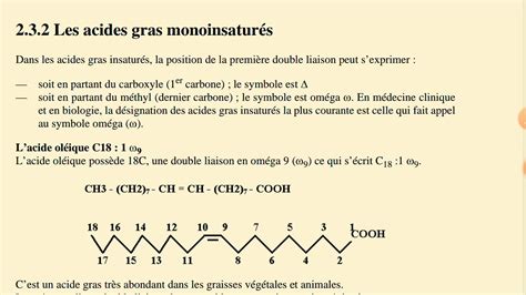 Cours Les Lipides Biochimie Structurale Partie Youtube