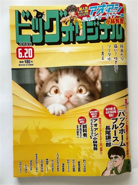 【目立った傷や汚れなし】ビッグコミックオリジナル 2024年6月20日 12号の落札情報詳細 ヤフオク落札価格検索 オークフリー