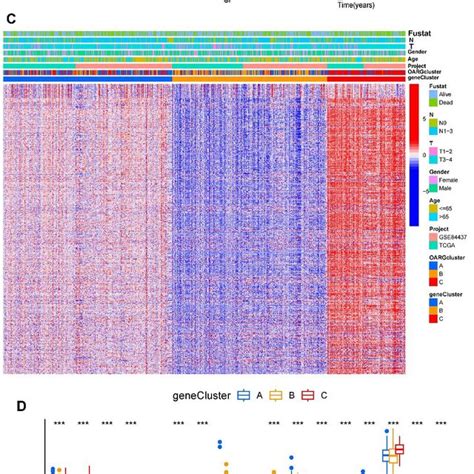 Identification Of Subtypes Based On Degs A Consensus Matrix Heatmap Download Scientific