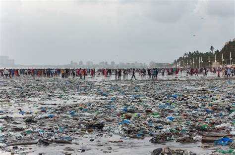 Photo Feature World Environment Day Sea Returns Trash In Mumbai