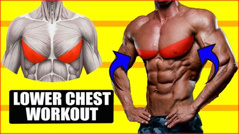 Best Exercises Lower Chest Workout Chest Workout Youtube