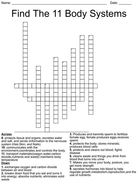 Systems Of The Body Crossword Wordmint