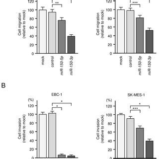 Expression Levels Of MiR 150 5p And MiR 150 3p In LUSQ Clinical