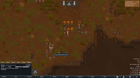 RimWorld Beginners Guide Setup First Steps New Player Tips More