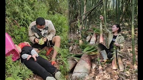 Poor Unfortunate Woman Dug Bamboo Shoots To Sell Alone And Was Harmed