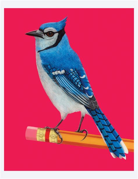 Blue Jay Bird Perched on Pencil. Art Print | Etsy