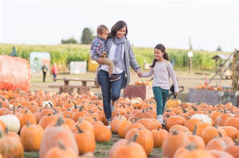 The Ultimate Guide To Birmingham Area Pumpkin Patches Al