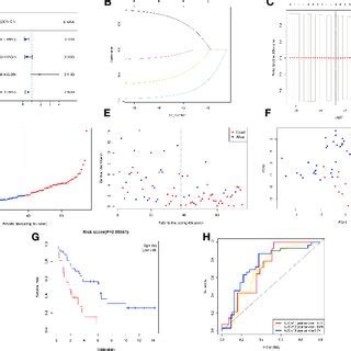 Development Of A Prognostic Model Based On The E Mtab Cohort A