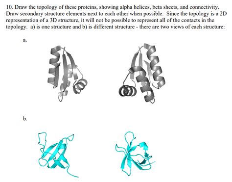 Solved Draw The Topology Of These Proteins Showing Chegg