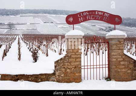 Clos de la Roche vineyard entrance gateway and sign, Burgundy, France ...