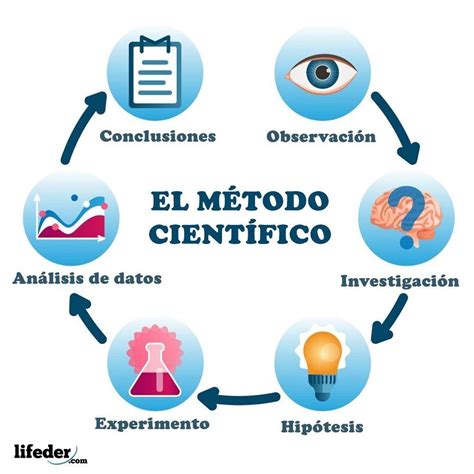 Metodolog A De Investigaci N Mind Map