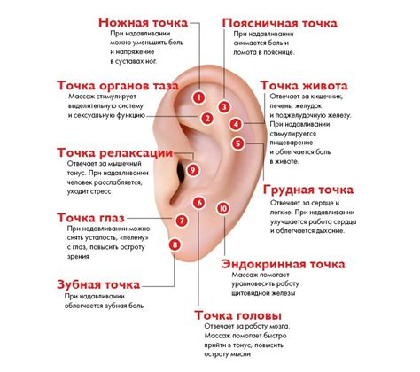 Можно ли прокалывать уши