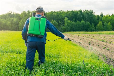 Qu Es La Resistencia A Los Herbicidas En Malezas Blog Cambiagro