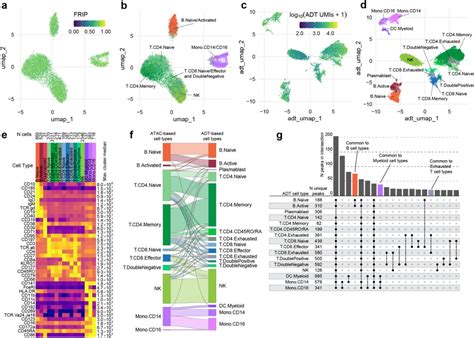 Tea Seq A Trimodal Assay For Integrated Single Cell Measurement Of