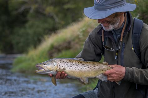 Fishing The Trout Opening Season The Fishing Website