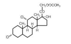 Cortison Acetate Tablets Usp