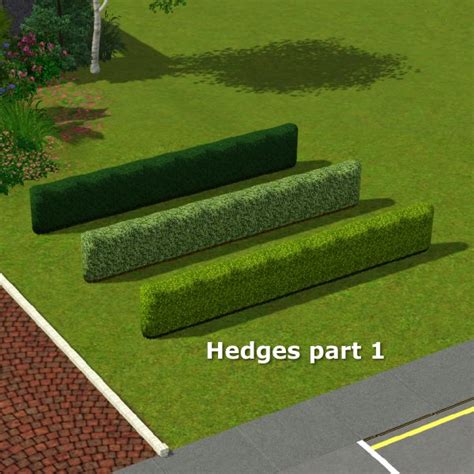 Simming In Magnificent Style Hedges Part 1