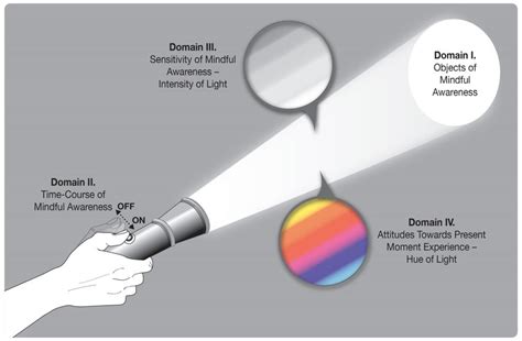 The Four Domains Of Behavioral Assessment Of Mindfulness Flashlight