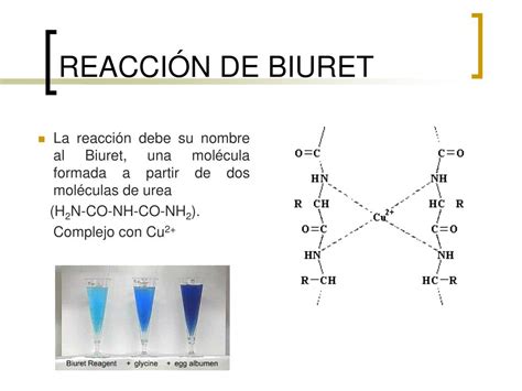 Ppt Introducci N Ley De Lambert Beer Determinaci N De Prote