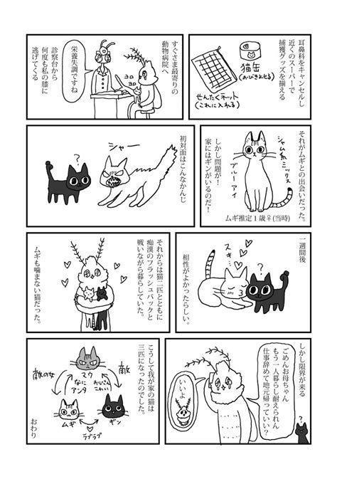 「おなかが減って眠れないのでラーメン食べました。 」aimiの漫画