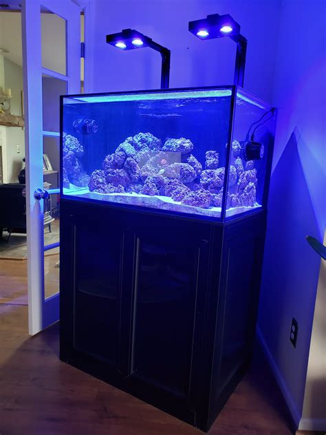 Innovative Marine Nuvo Int Gal Aquarium Black Aps Stand Refugium