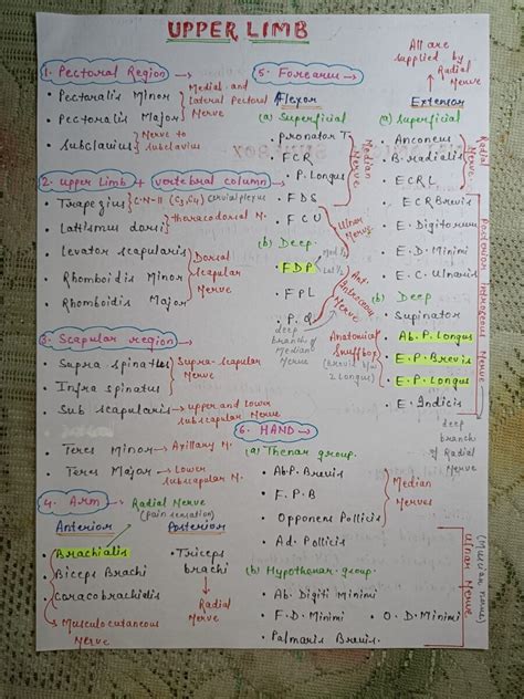 SOLUTION Bd Chaurasia Handwritten Notes Volume