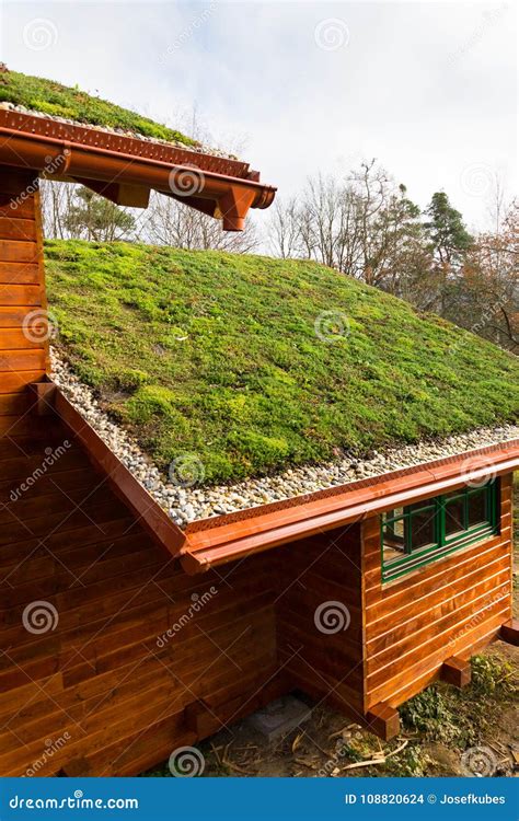 Wooden House With Extensive Green Living Roof Covered With Vegetation