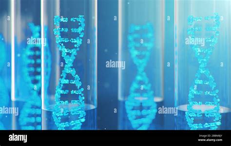 Ilustraci N D Mol Cula De Adn Su Estructura Concepto Genoma Humano