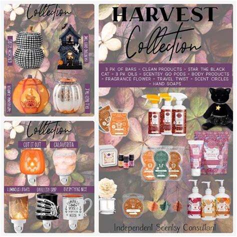 519 988 6978 Bar Cleaner Scentsy Wax Bars Autumn Fairy Fall Harvest