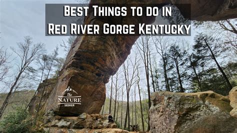 23 Things To Do In Red River Gorge Kentucky For New Visitors