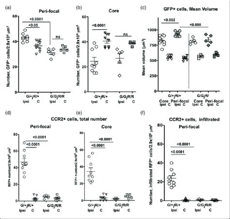 Effects Of CX3CR1 CCR2 Deficiency On Microglial Activation And