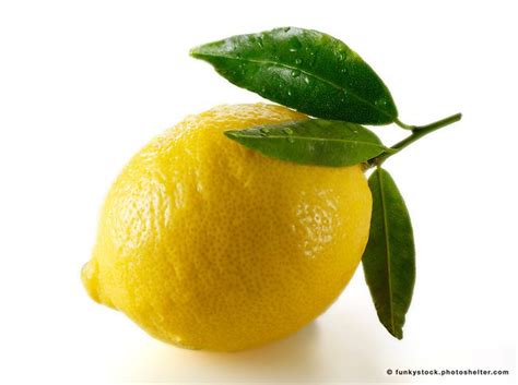 Fresh Fruit Food Pictures Stock Photos Lemon Funkystock Picture