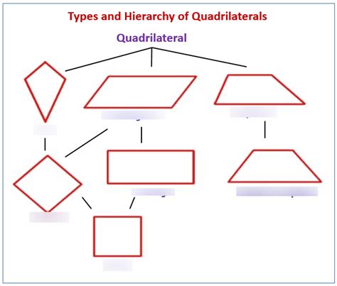 Vocabulary Check 2 - Quadrilateral Properties Diagram | Quizlet