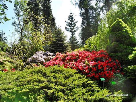 Ogród Botaniczny Arboretum Wojsławice