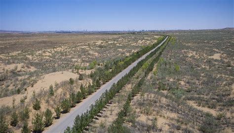 Inpics Desert Turns Into Oasis In Nw China Xinhua