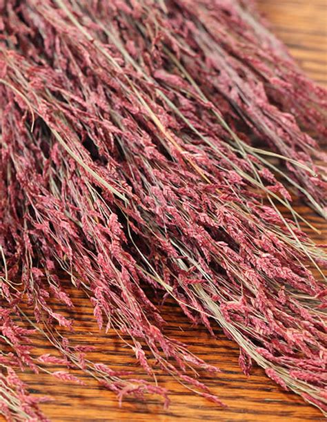 Ruby Red Silk Grass Lovejoy Farms