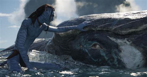 Image Gallery For Avatar The Way Of Water Filmaffinity