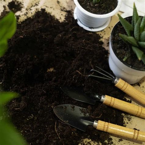 The Best Potting Soil For Indoor Plants A Comprehensive Guide