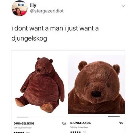 Huggable, Djungelskog | /r/madlads | IKEA DJUNGELSKOG Bear | Know Your Meme